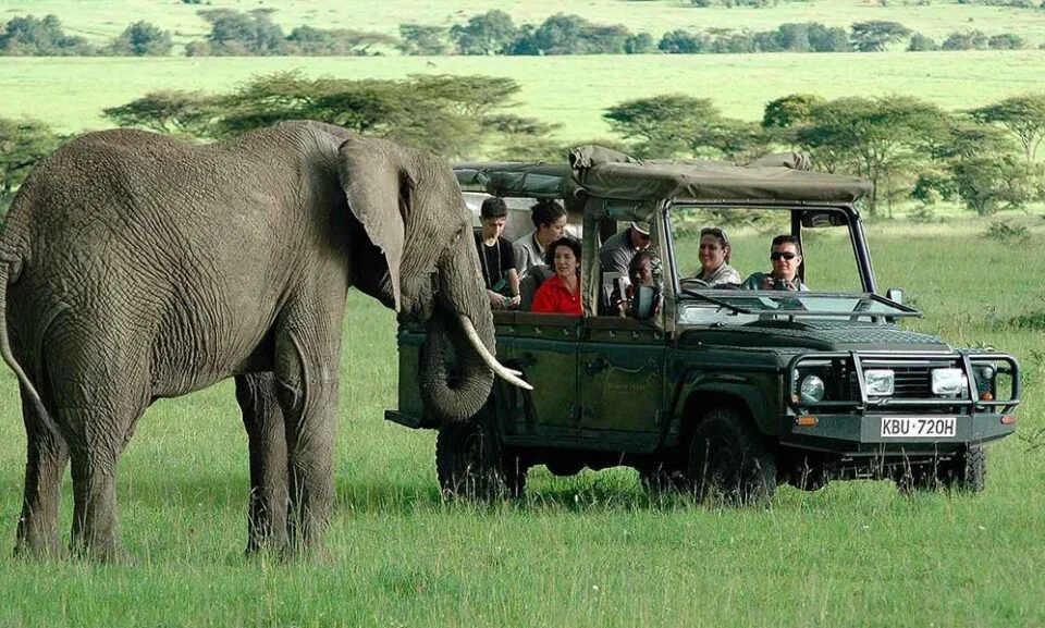 best-recommended-family-safaris-in-uganda