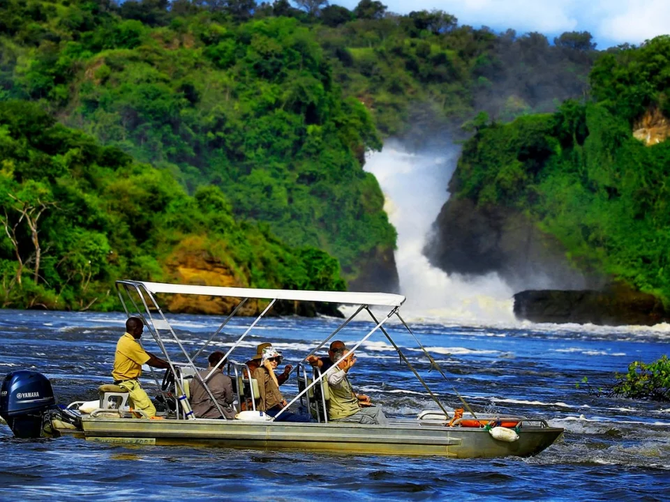 10-days-best-of-uganda-safari