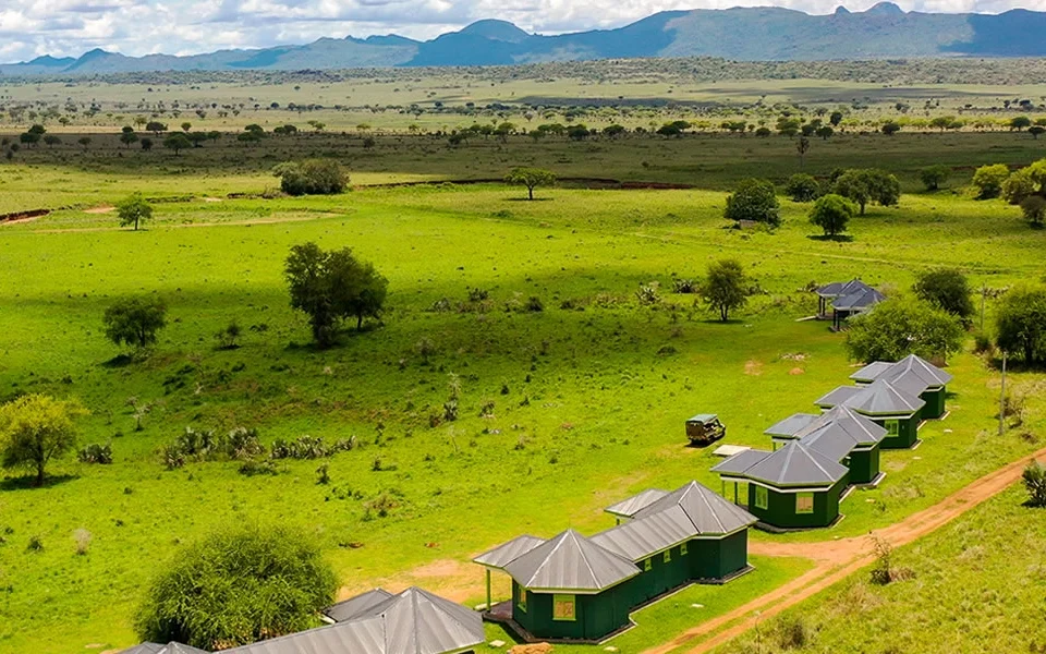 cheap-gorilla-tours-vs-luxury-safaris
