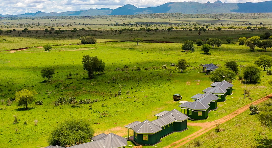 mix-wildlife-safaris-and-gorilla-trekking-in-uganda