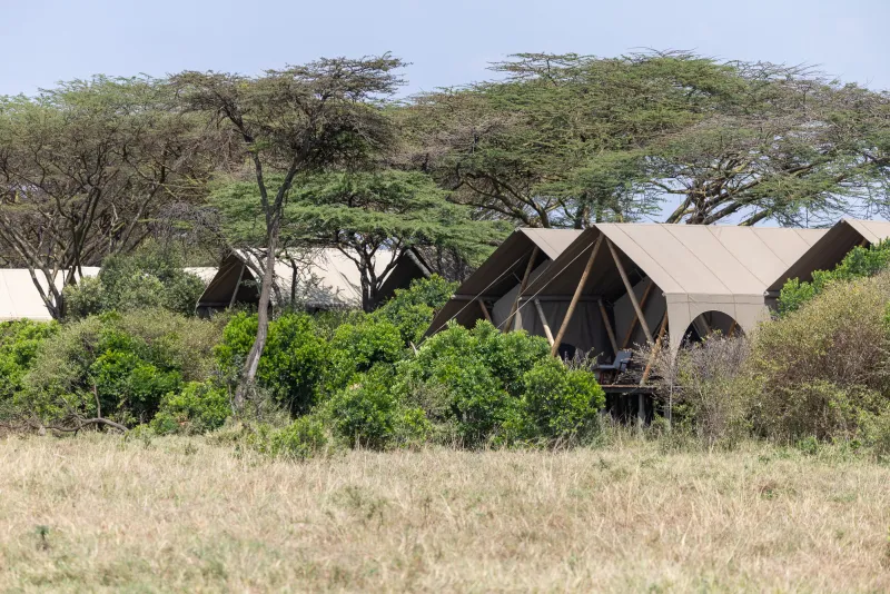 luxury-lodges-for-the-great-migration-experience