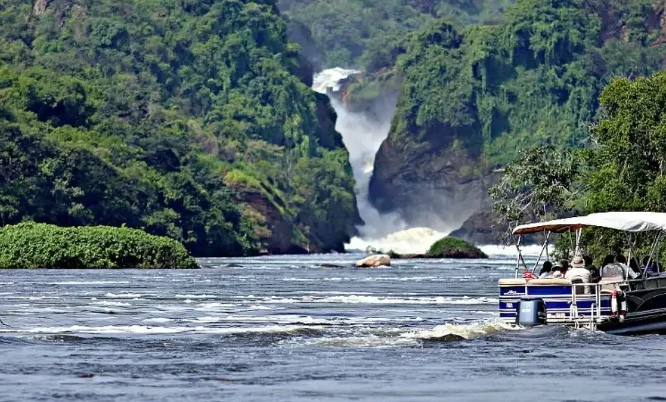 primate-and-wildlife-safaris-murchison-falls-national-park