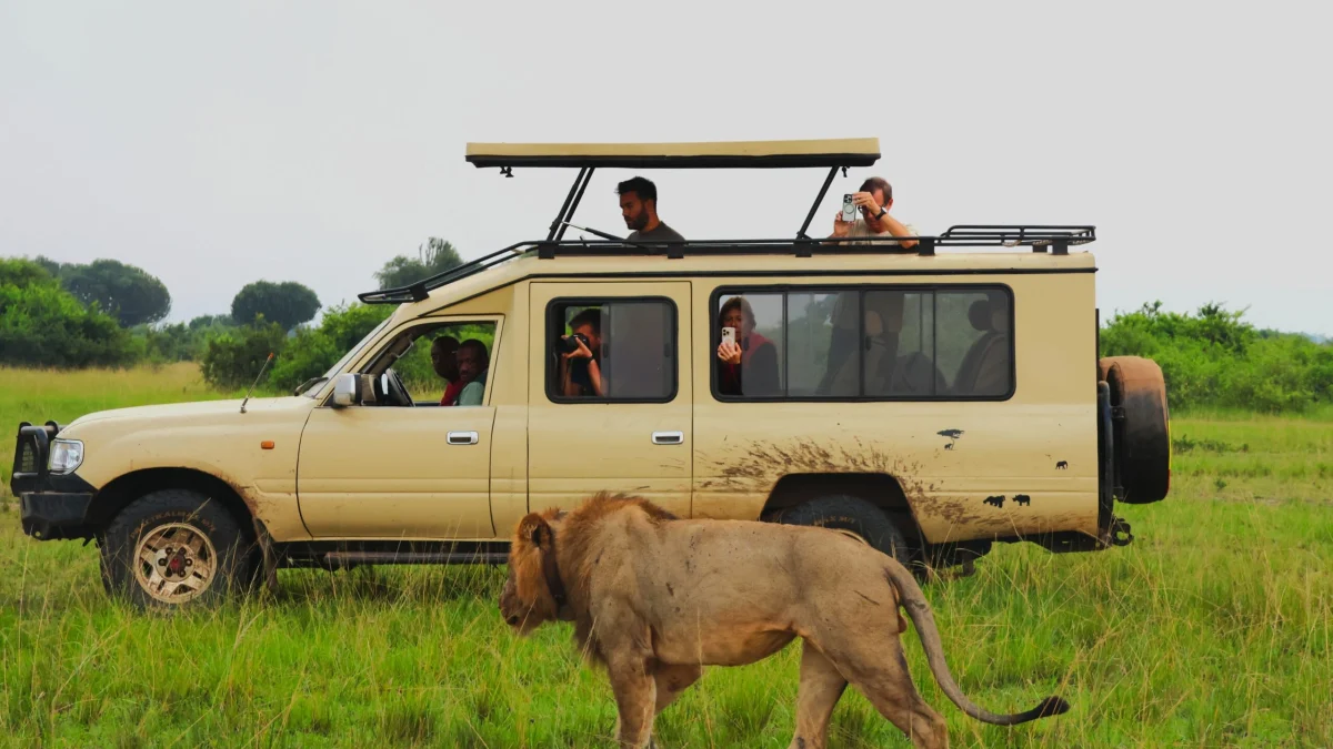 top-cross-border-safari-packages-from-kigali-to-uganda