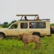 top-cross-border-safari-packages-from-kigali-to-uganda