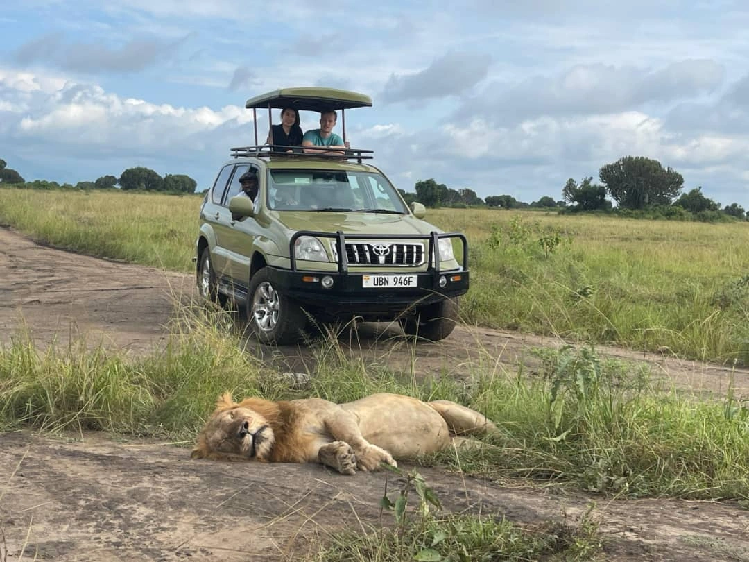 Uganda Rwanda Safari