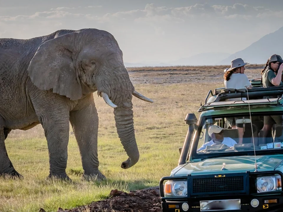 adventure-safaris-in-uganda-what-to-expect