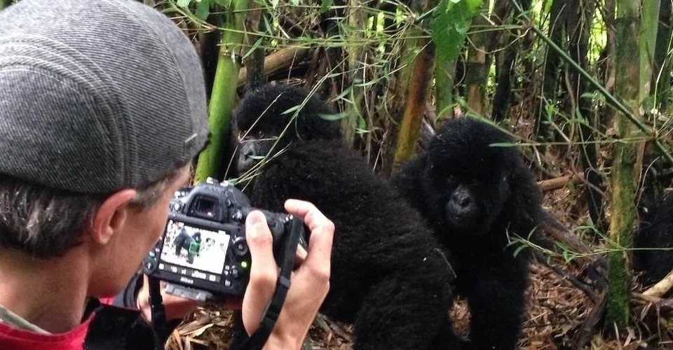 chimpanzee-tracking-and-wildlife-photography-in-uganda