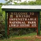 from-kigali-to-bwindi-impenetrable-forest-for-gorillas
