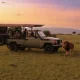 luxury-safari-combining-gorillas-and-the-serengeti-migration