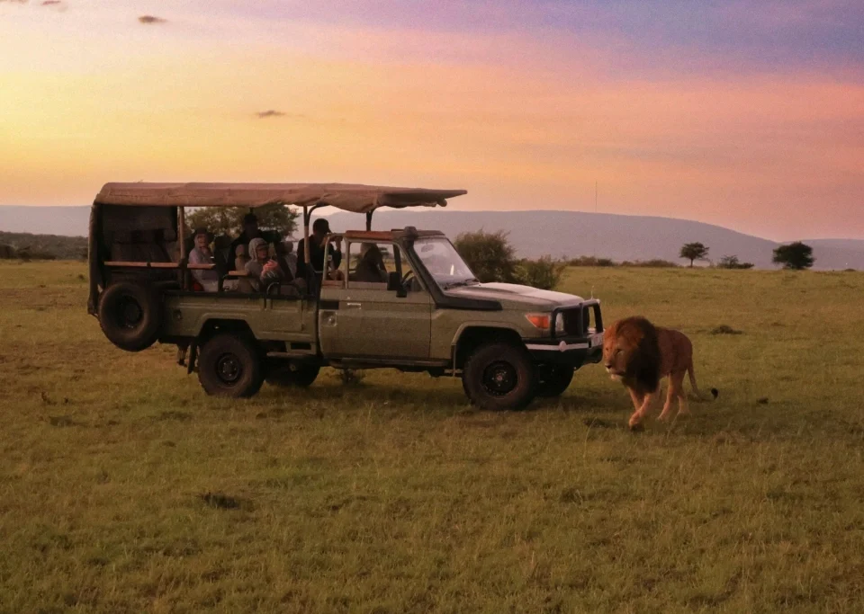 luxury-safari-combining-gorillas-and-the-serengeti-migration