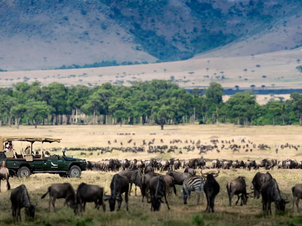 maasai-mara-migration-safari-how-to-plan-your-trip