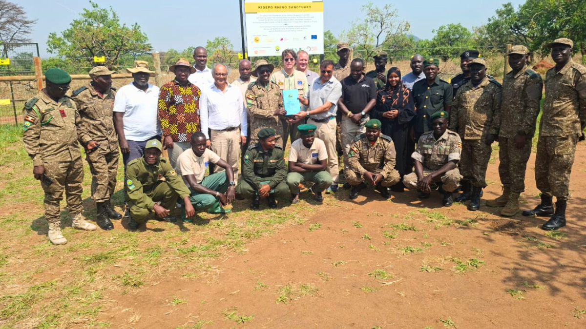 rhinos-re-introduced-to-kidepo-national-park