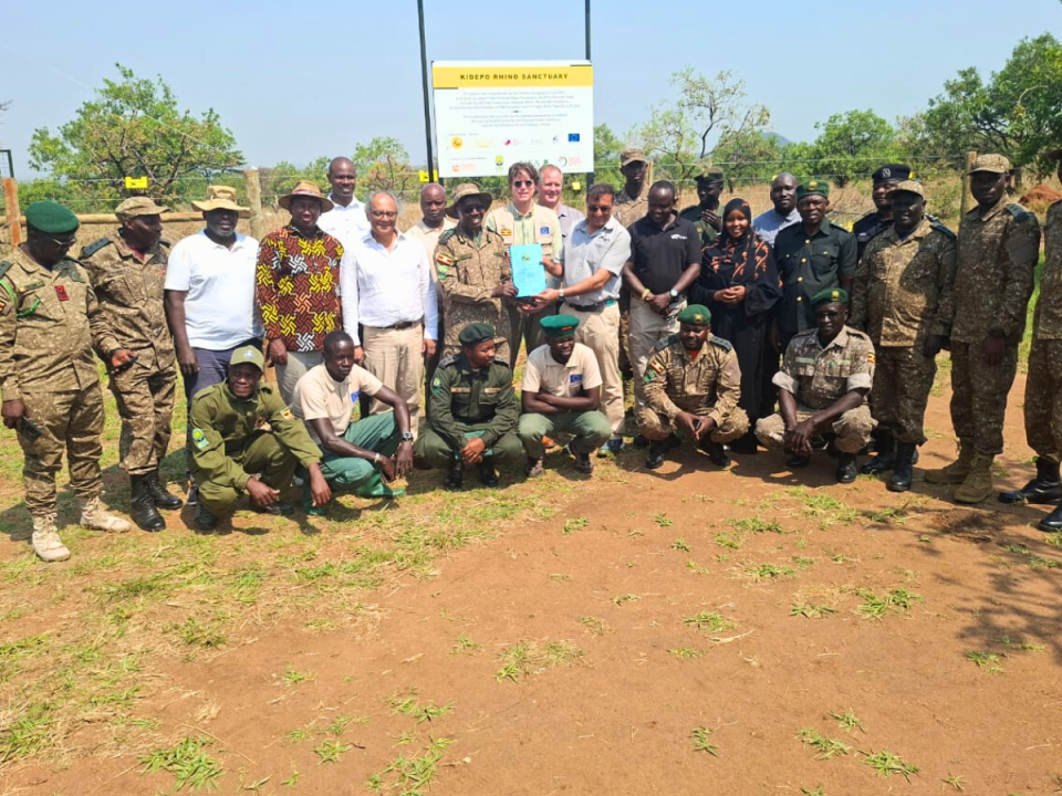 rhinos-re-introduced-to-kidepo-national-park