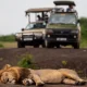 7-day-uganda-safari-chimpanzees-wildlife-and-culture