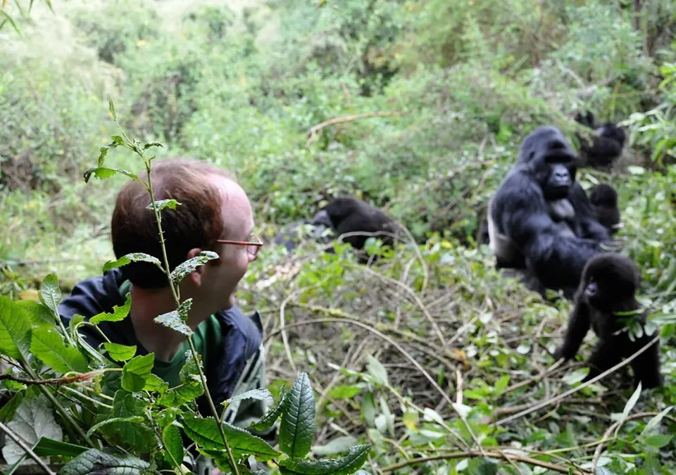 best-short-and-cheap-safaris-in-uganda