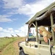 affordable-safaris-in-uganda