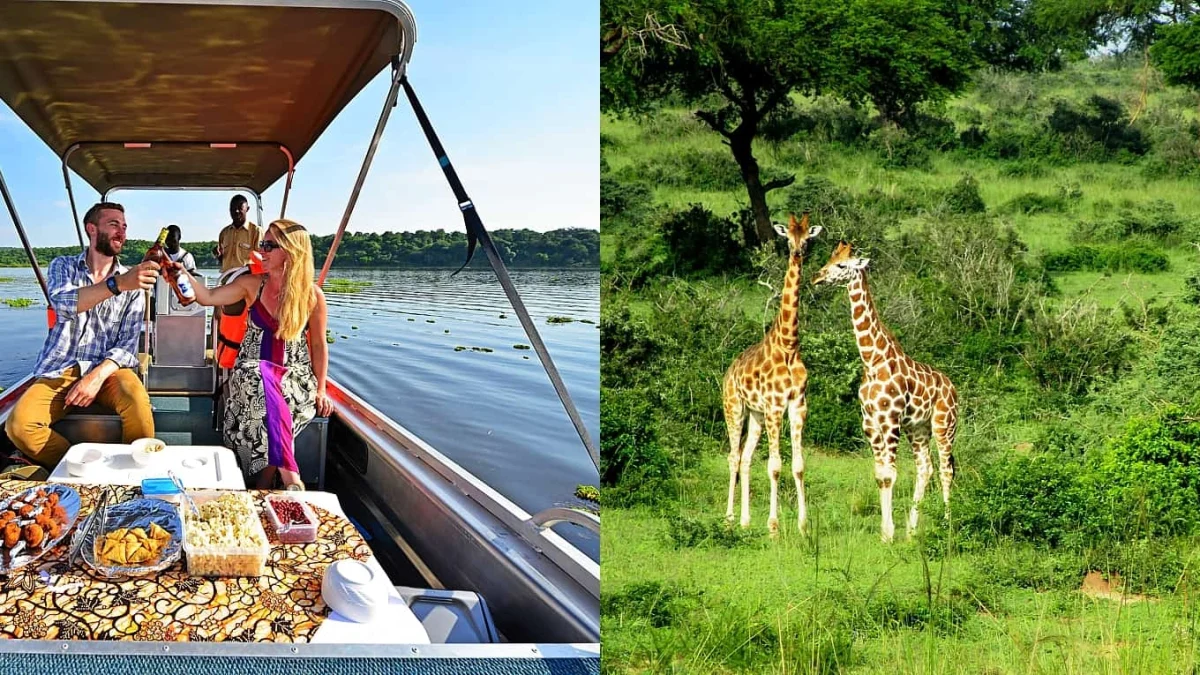 top-things-to-do-in-murchison-falls-national-park