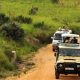 big-five-and-gorilla-trekking-safari-in-uganda-and-rwanda