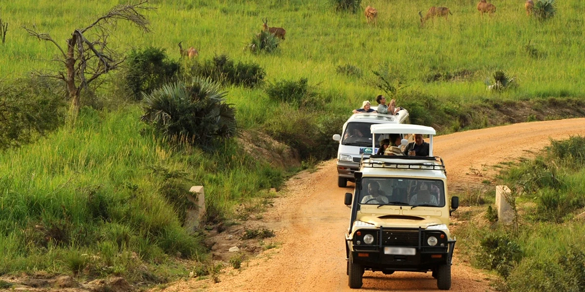 why-travelers-choose-kenlink-tours-for-uganda-safaris