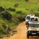 why-travelers-choose-kenlink-tours-for-uganda-safaris