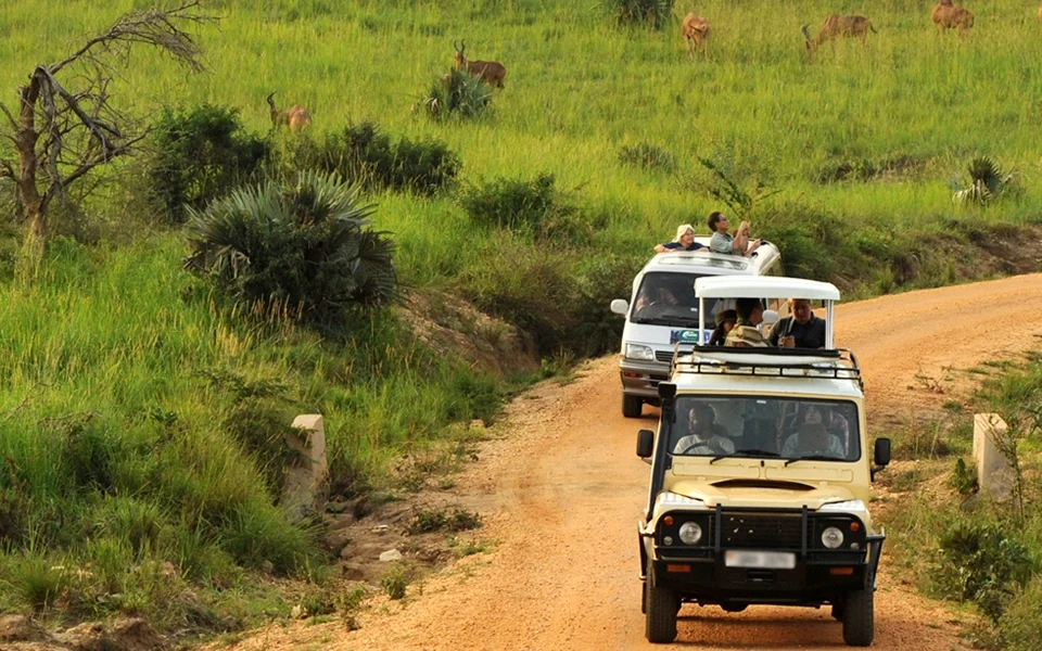 why-travelers-choose-kenlink-tours-for-uganda-safaris