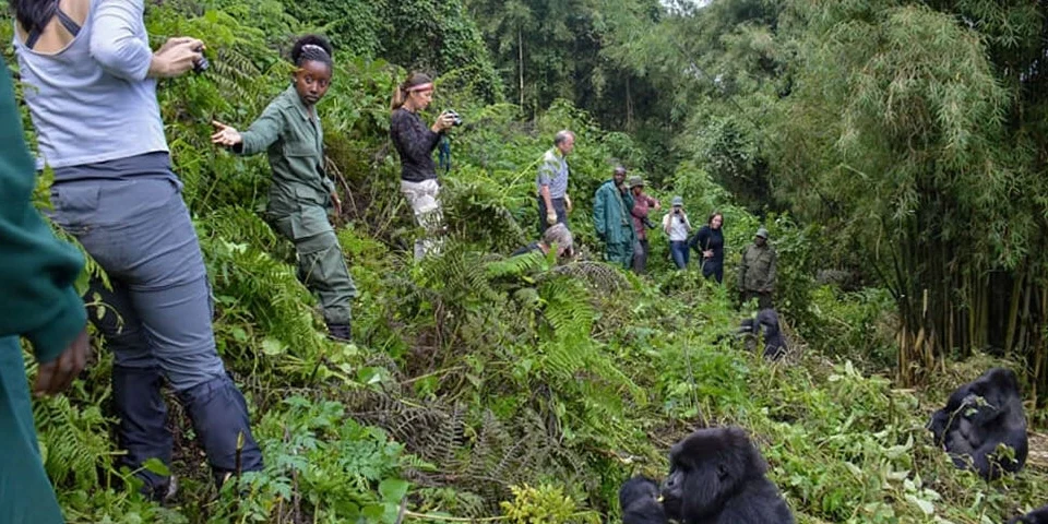 one-week-uganda-safari-from-kigali