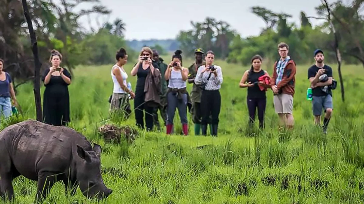 small-group-vs-private-safaris-in-uganda-and-rwanda