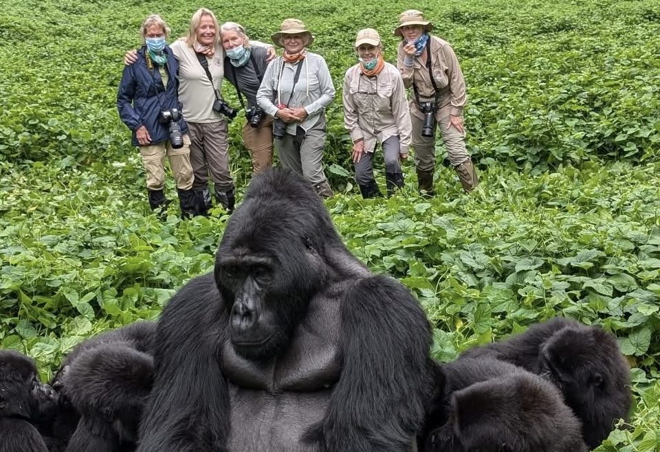 how-to-book-a-gorilla-safari-in-uganda