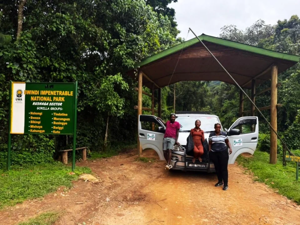 private-transfers-from-rwanda-to-rushaga-bwindi-national-park