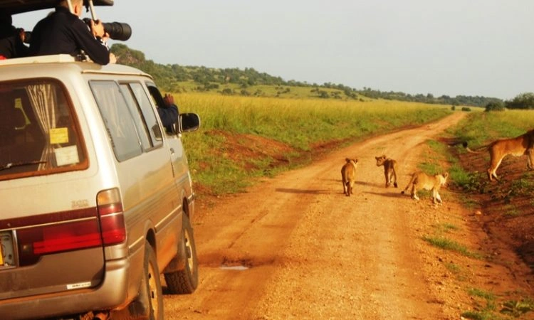 visit-jinja-sipi-falls-kidepo-and-murchison-falls-in-one-trip