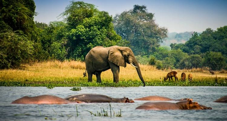 10-day-uganda-safari-itinerary