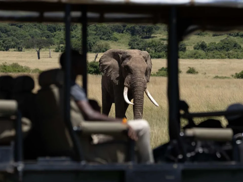 uganda-culture-and-big-five-safari-combination
