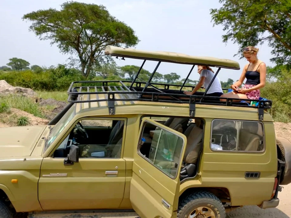 rwanda-safari-vs-uganda-safari