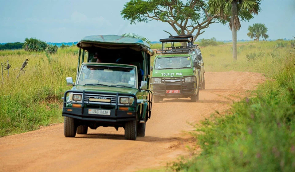 best-short-uganda-safaris-for-busy-travelers
