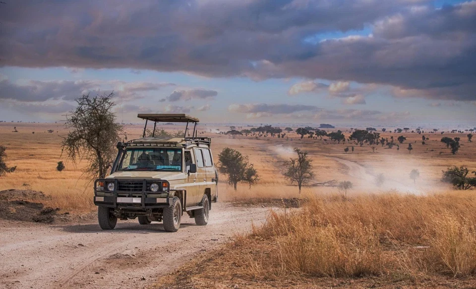 7-day-uganda-gorilla-and-wildlife-safari-itinerary