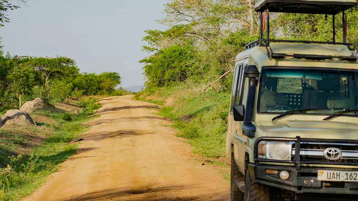 kigali-airport-to-bwindi-for-gorilla-trekking