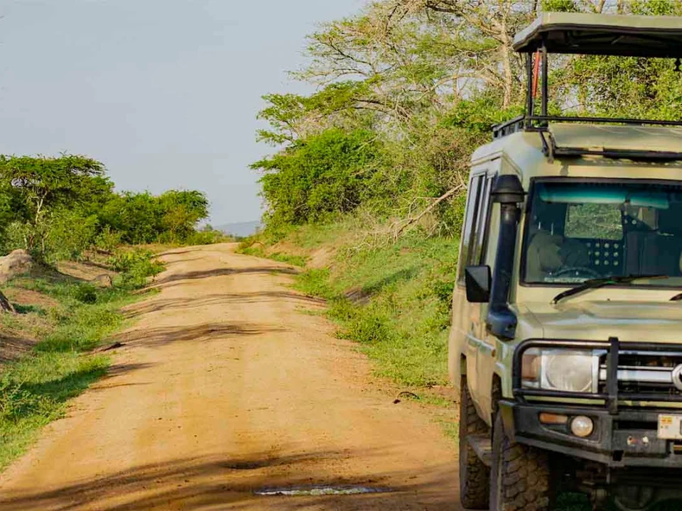 kigali-airport-to-bwindi-for-gorilla-trekking