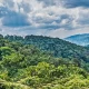 flying-vs-driving-to-bwindi