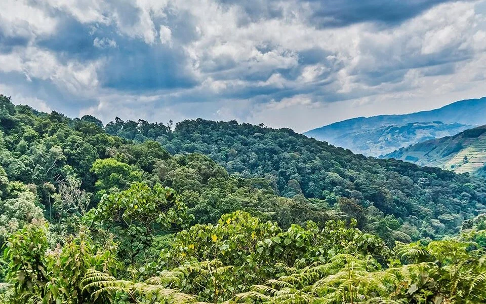 flying-vs-driving-to-bwindi