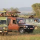 game-drive-in-queen-elizabeth-or-murchison-which-is-better