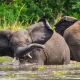 uganda-and-rwanda-safari-holidays-for-2026-2027-2028