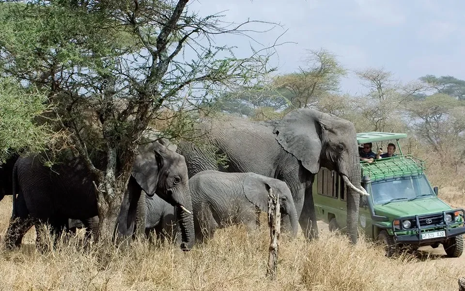 top-adventure-safaris-in-uganda