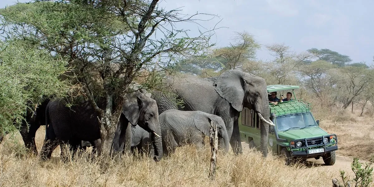top-adventure-safaris-in-uganda
