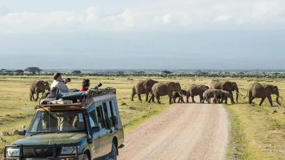 7-days-uganda-safari-with-chimpanzee-trekking-and-game-drives