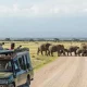 7-days-uganda-safari-with-chimpanzee-trekking-and-game-drives