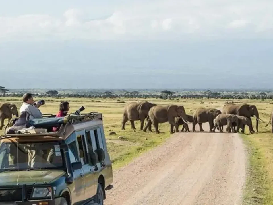 7-days-uganda-safari-with-chimpanzee-trekking-and-game-drives