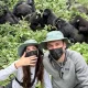 chimpanzee-tracking-in-kalinzu-with-gorillas-in-uganda