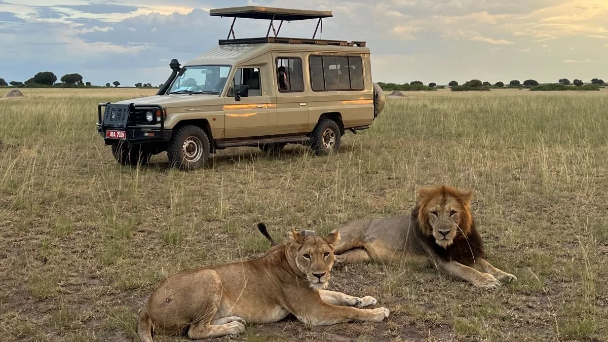 best-uganda-safaris-for-first-time-african-travelers
