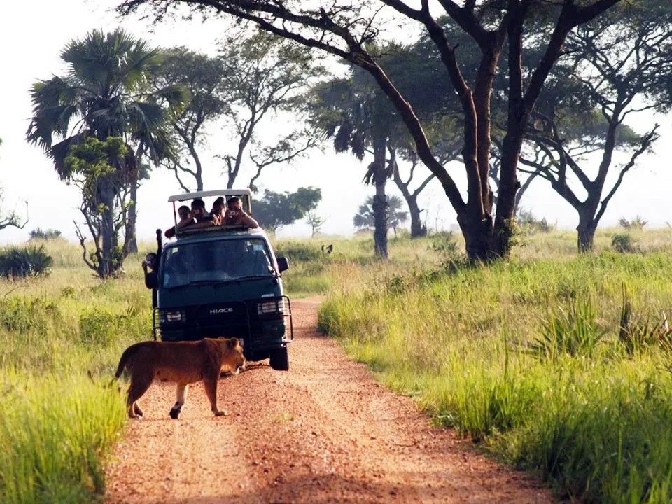 uganda-wildlife-safaris-with-big-five-game-drives