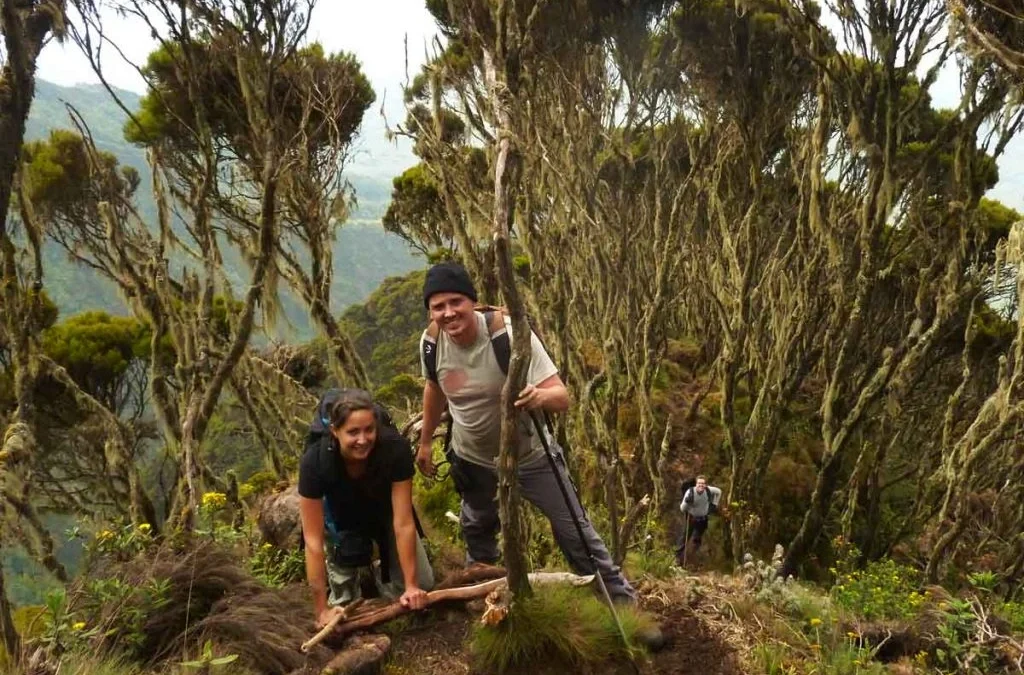 climbing-the-virunga-volcanoes-mount-bisoke-hike-guide